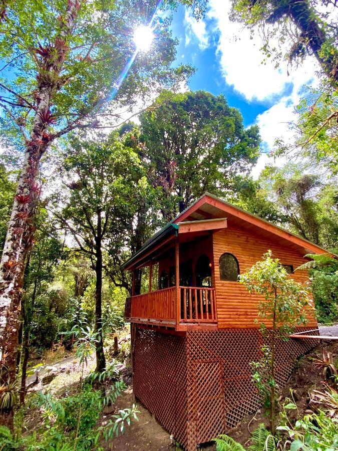Cabana Anturios San Jose  Exterior photo