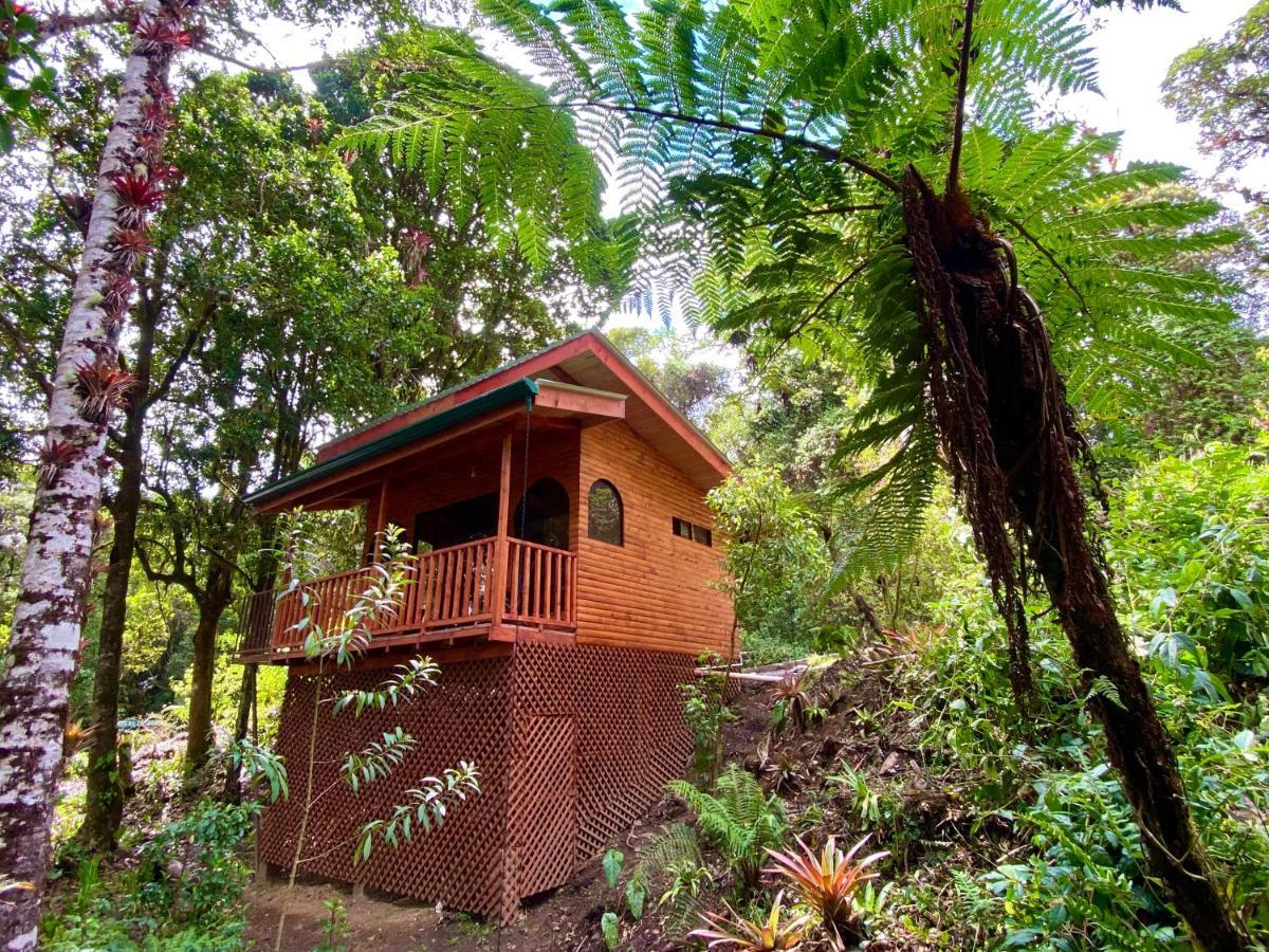 Cabana Anturios San Jose  Exterior photo