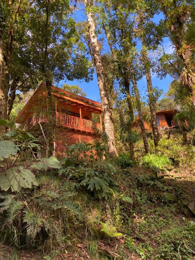 Cabana Anturios San Jose  Exterior photo
