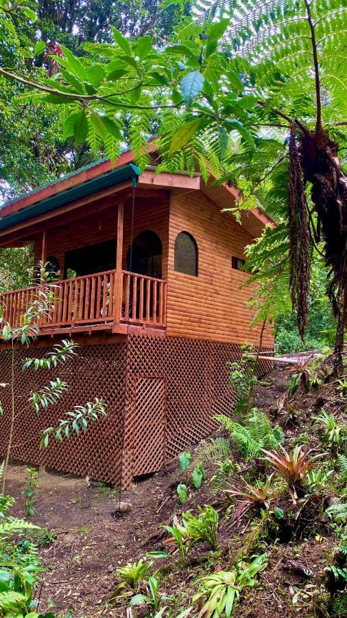 Cabana Anturios San Jose  Exterior photo