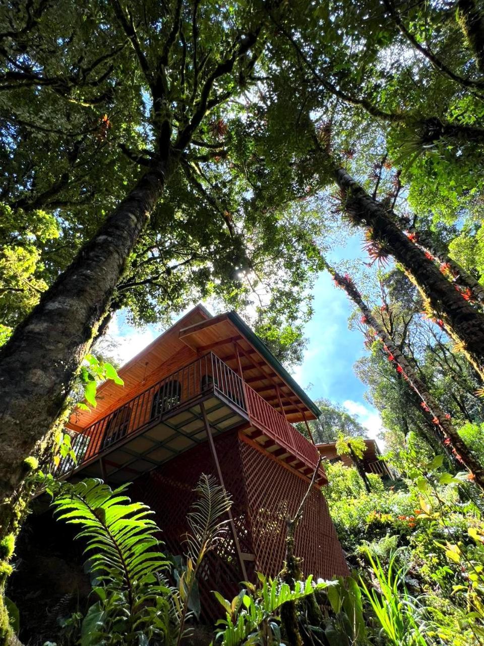 Cabana Anturios San Jose  Exterior photo
