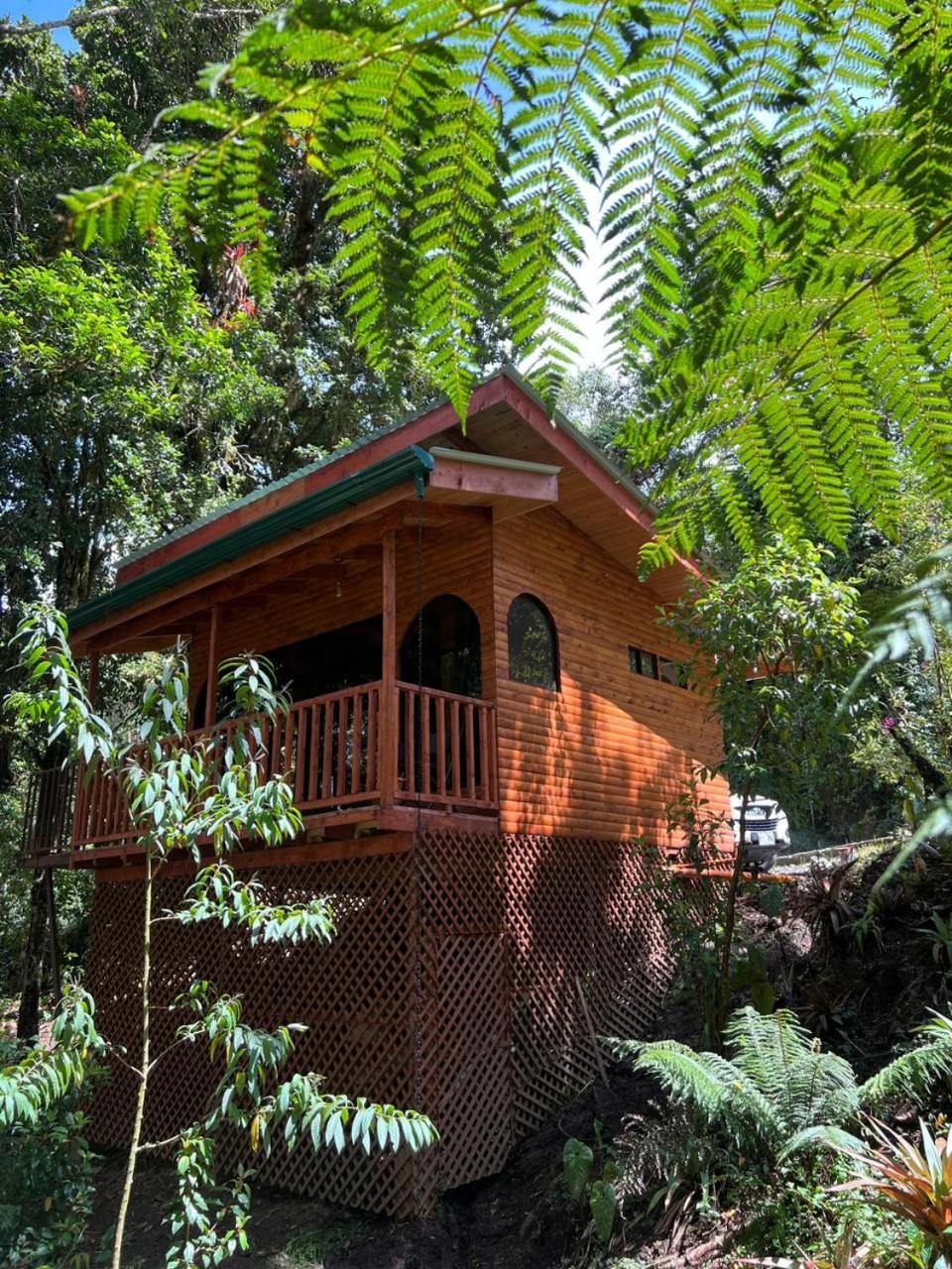 Cabana Anturios San Jose  Exterior photo